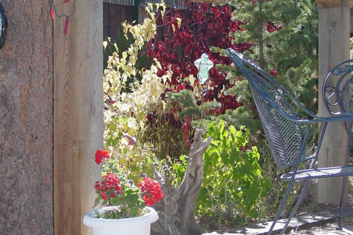 Terrace/Patio 16 of 17