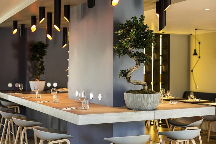 Restaurants