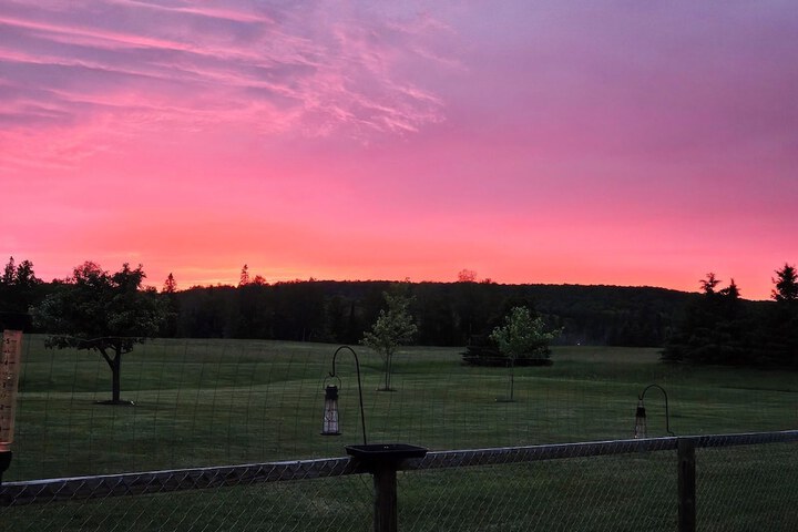 Hotel Exterior 93 of 104