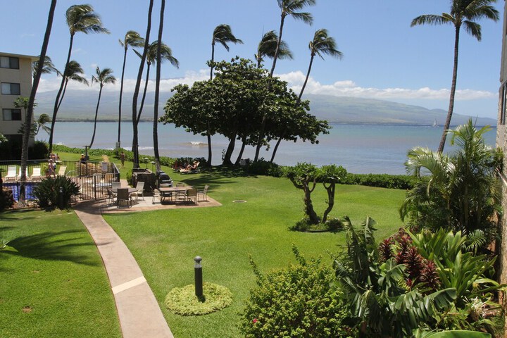 Kanai a Nalu # 205 2 Bathrooms Condo in Wailuku, HI