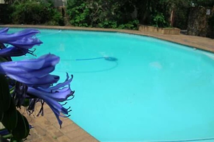 Pool to Cool