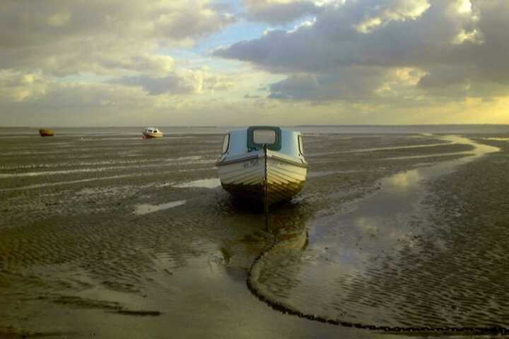 Beach 44 of 49