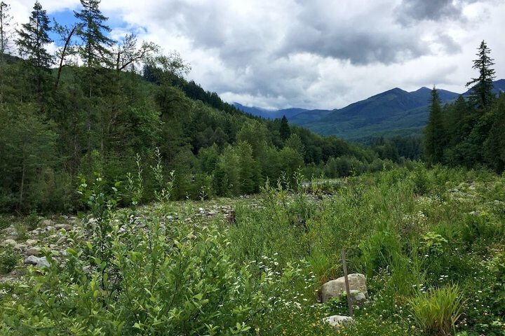 Property Grounds 36 of 40