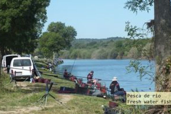 Outdoor Activities 7 of 60