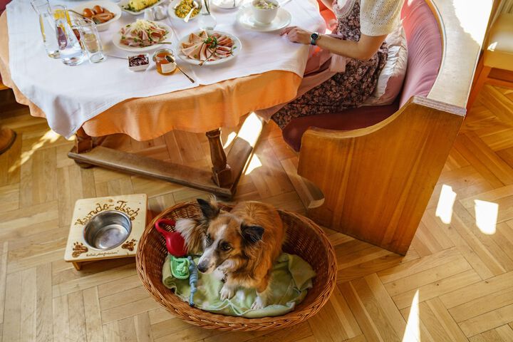 Dining 30 of 60