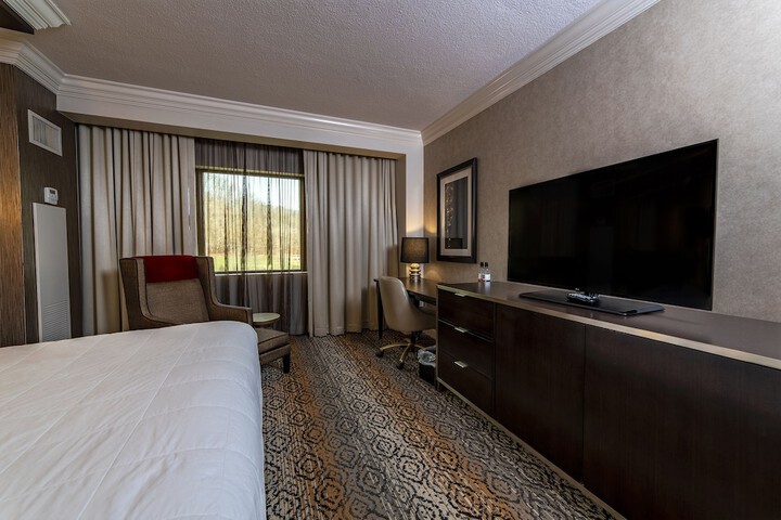 Deluxe Room 1 King Bed (1 of 4)