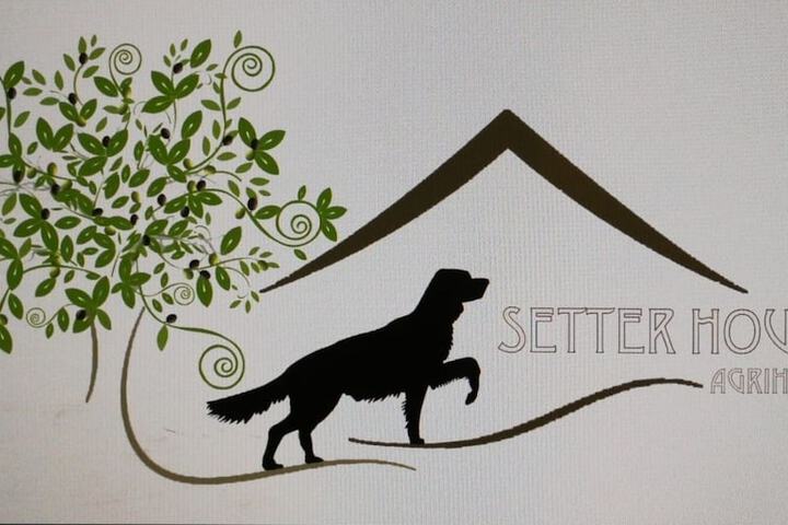 Pet Friendly 71 of 206