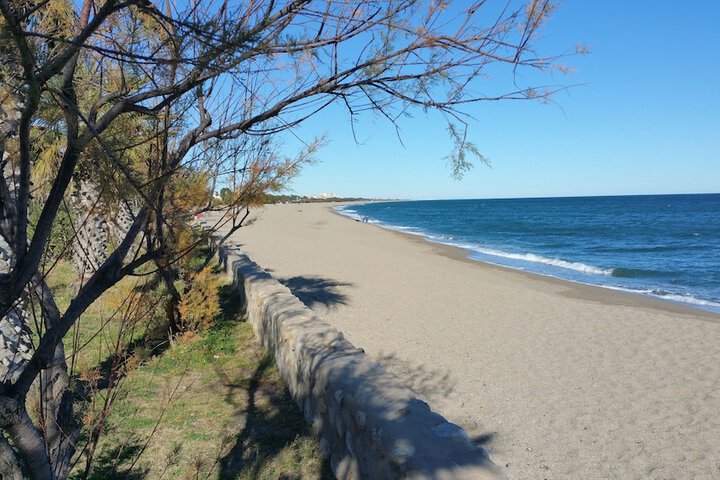 Beach 26 of 37