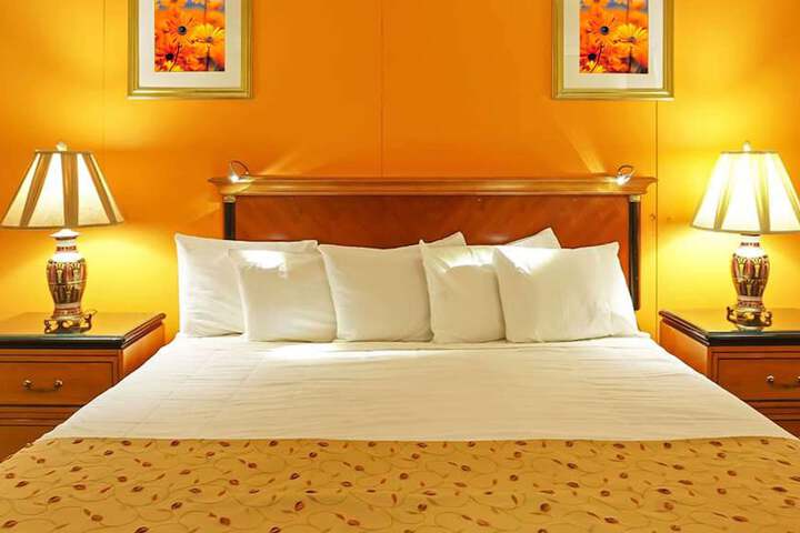 1 King Bed (3 of 16)