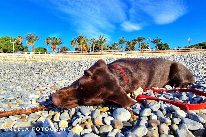 Beach 112 of 118