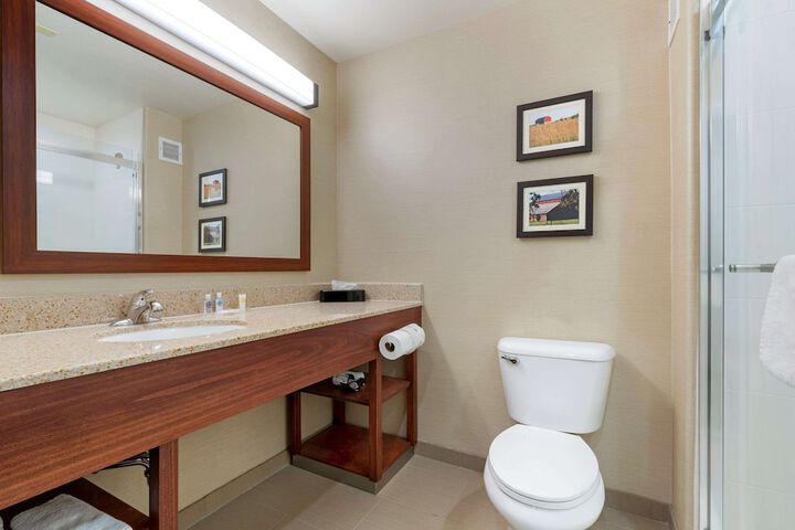 1 King Bed Suite (8 of 16)