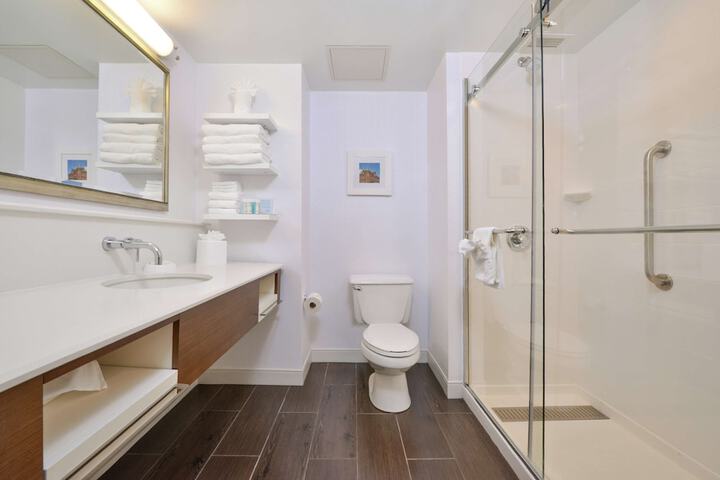 Bathroom shower