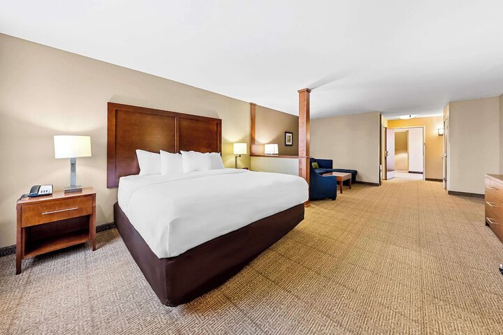 1 King Bed Suite (2 of 11)