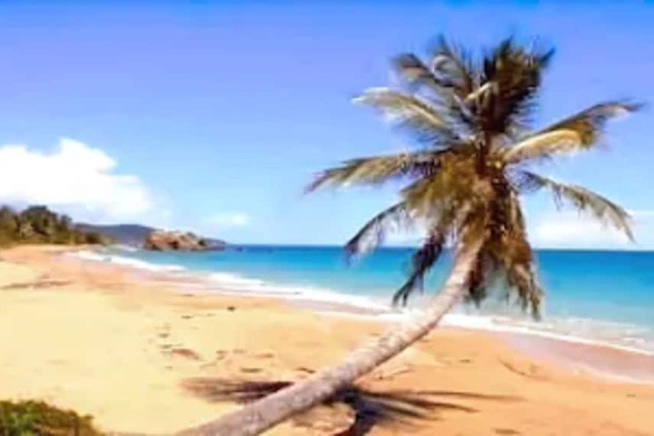Beach 27 of 31