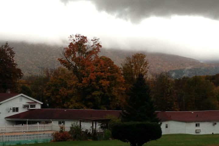 View from property