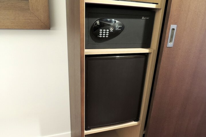 Mini-refrigerator