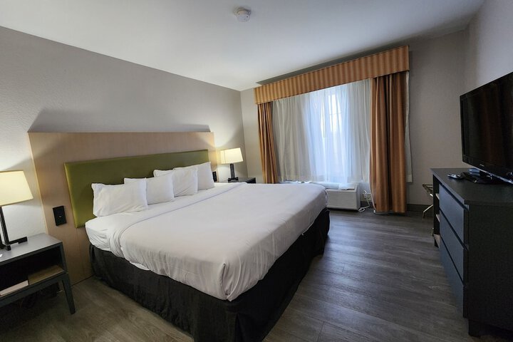 1 King Bed (7 of 24)