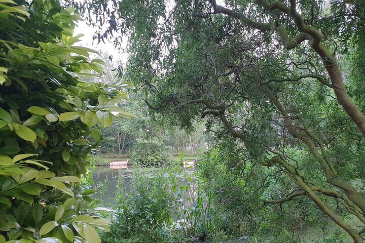 Photo 19