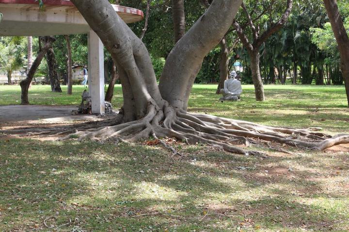 Property Grounds 27 of 47