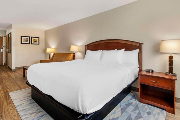 1 King Bed (9 of 11)