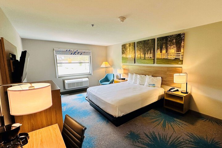 1 King Bed (16 of 19)