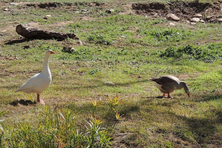 Hotel Exterior 46 of 52