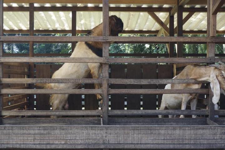 General 3 of 20