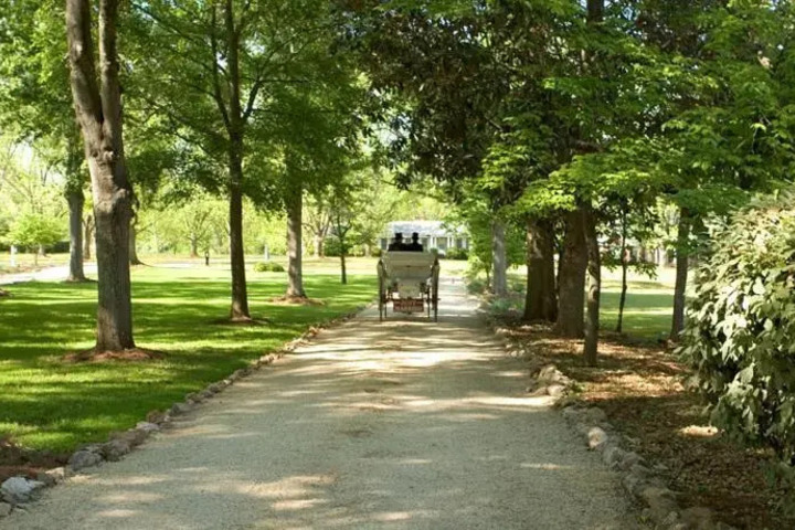 MADISON OAKS INN & GARDENS