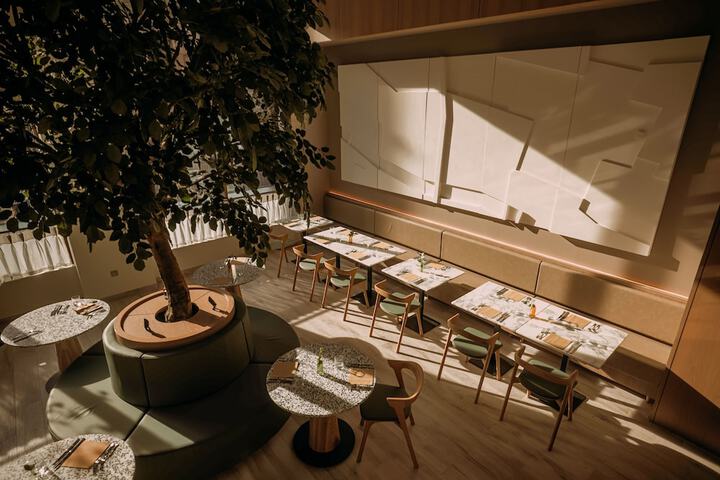 Dining 77 of 126