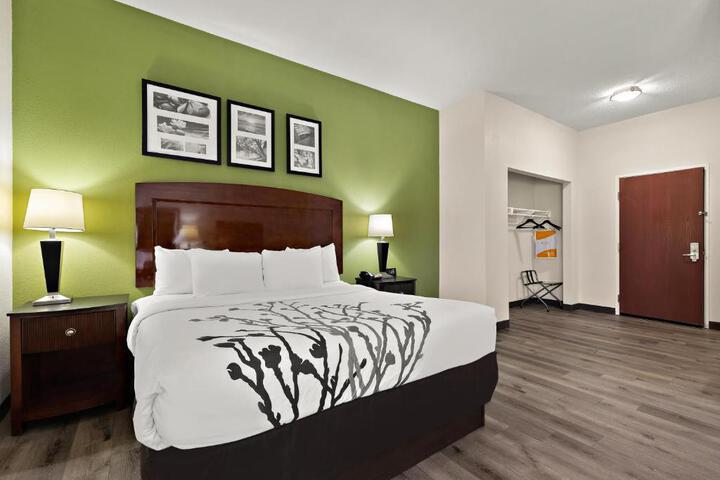 1 King Bed (11 of 19)
