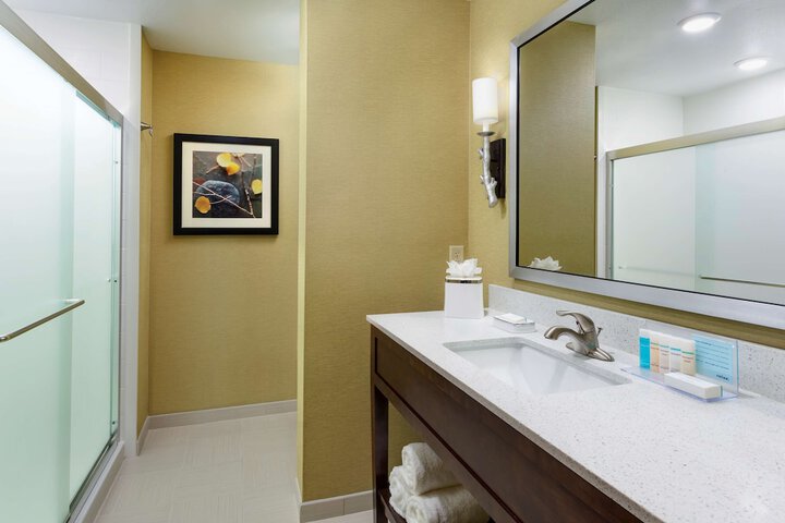 1 King Microwave, Refrigerator Wet Bar Studio Suite (3 of 3)