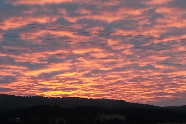 Property Grounds 24 of 31