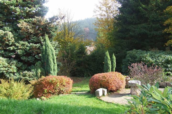 Hotel Carlsruh in Braunlage