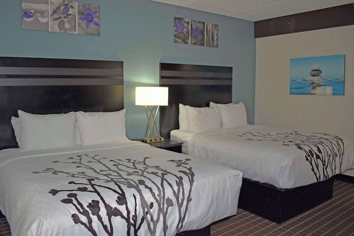 1 Queen Bed Accessible (20 of 31)