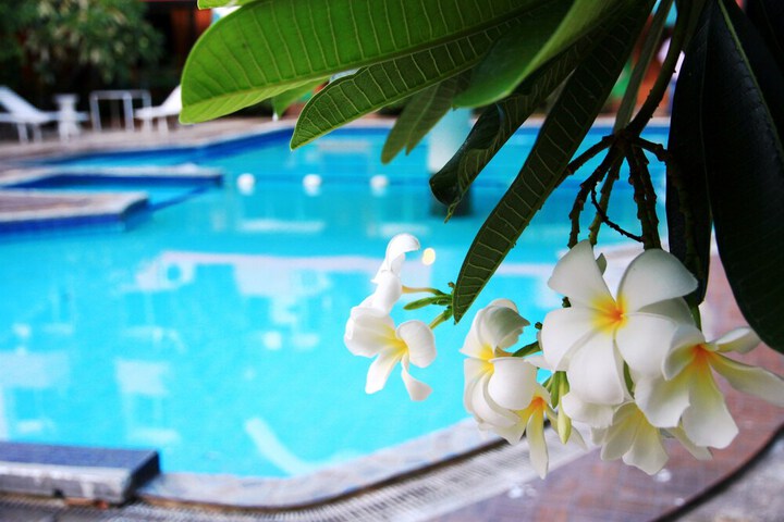 Pool 45 of 66