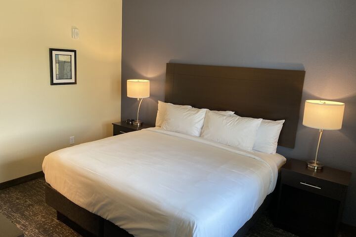Guest Room Single King Bed (6 of 16)