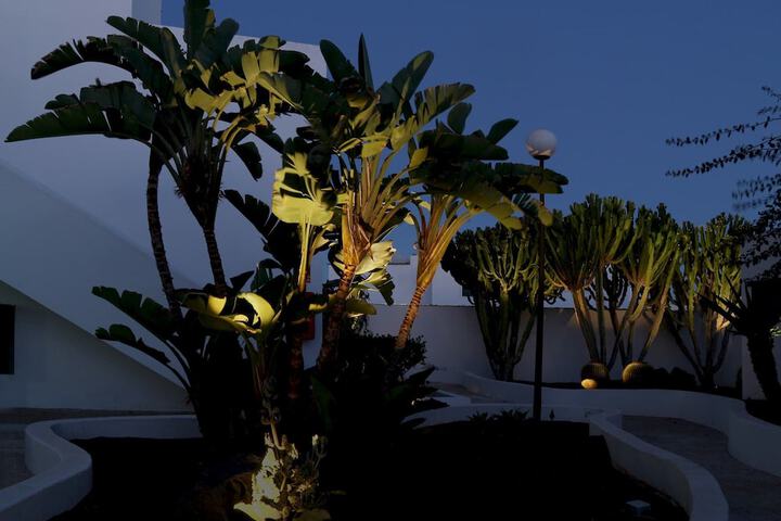 Garden view