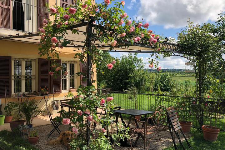 Spa and Wellness Pictures