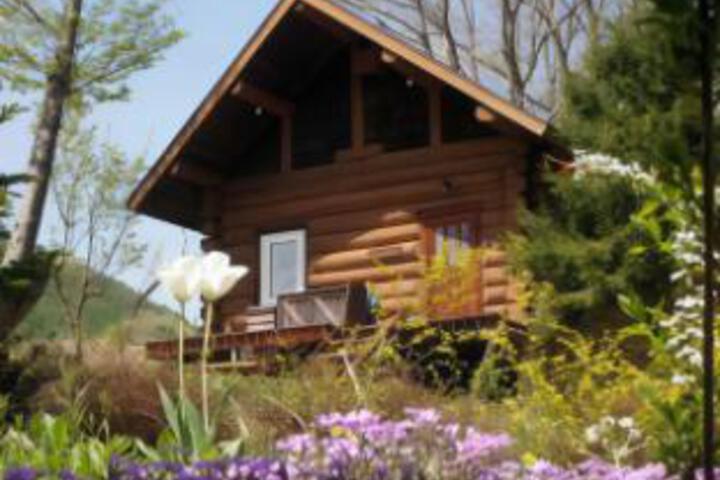 General 5 of 6