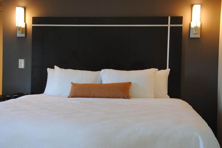 1 King Bed Accessible (5 of 24)