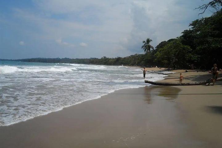 Photo 12