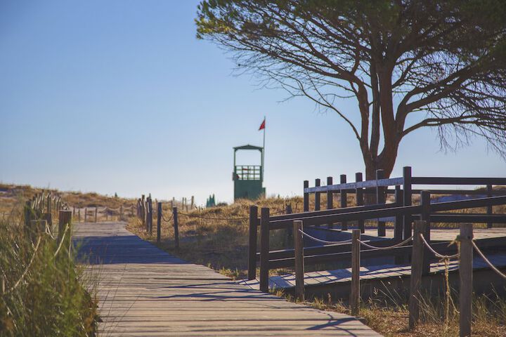 Beach 56 of 68