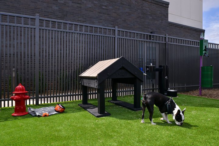 Pet-friendly