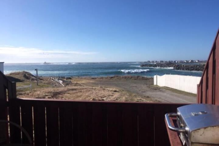 Robbins by the Sea