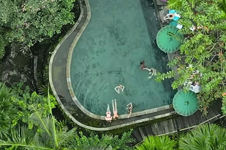Pool 115 of 185