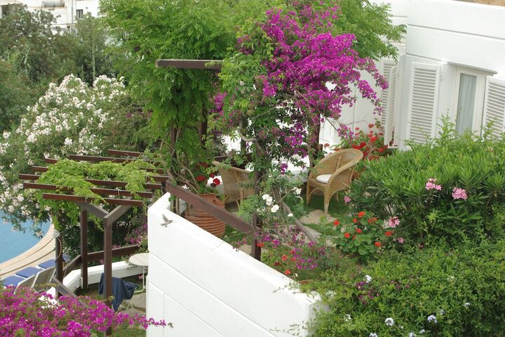 Terrace/Patio 21 of 26