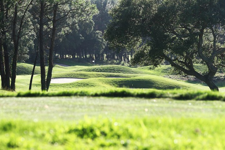 Golf 22 of 41