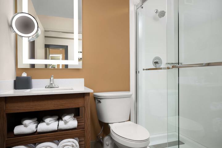 Bathroom shower