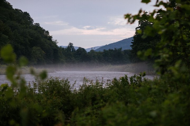 Property Grounds 42 of 46