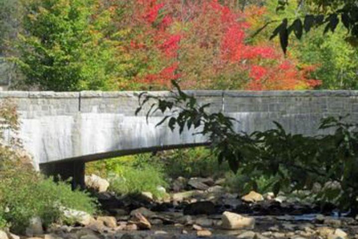 Property Grounds 33 of 38